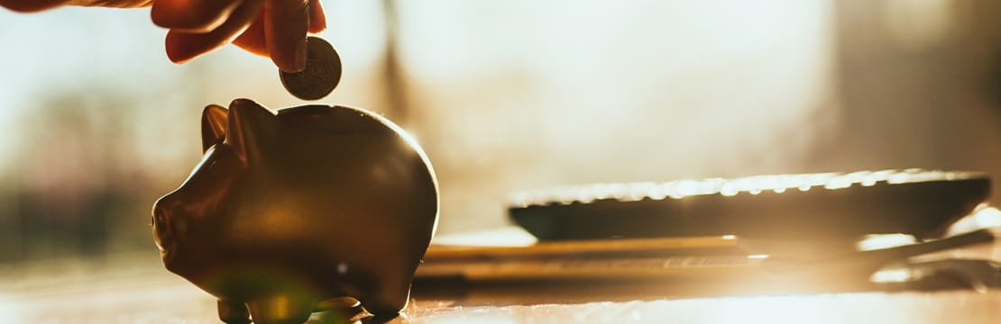 Hand placing a coin into a piggy bank in warm sunlight.